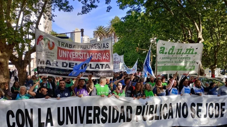 Plan de lucha docente por la aplicación de la Ley de Financiamiento Universitario